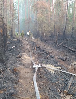 В Кировской области объявили о чрезвычайной пожароопасности в лесах
