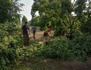 В Советске из-за непогоды в городе вторые сутки проблемы с электричеством