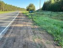 В Нолинском районе в ДТП пострадали три человека, в том числе двое детей