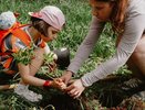 Эти четыре знака зодиака осуществят свои самые смелые мечты к концу июня 2024 года