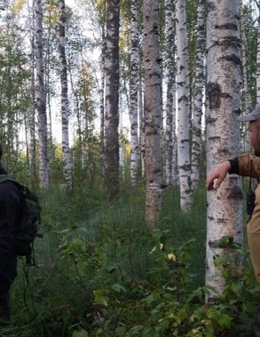 В Кирово-Чепецке мужчина ушел в лес четыре дня назад и пропал без вести