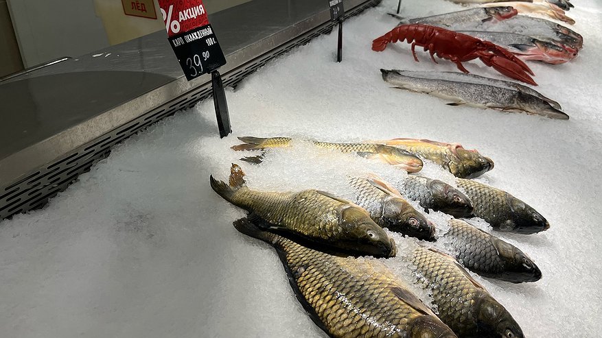 Главная картинка новости: Не покупайте, даже если хочется солененького. В этой рыбе находят 10-метровых червей