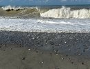 Уже началось: отдыхающие на Черном море делятся неприятными впечатлениями