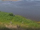За выходные из воды в Кировской области достали тела двух мужчин