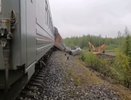 16-летнюю девушку, которая пропала после схода поезда, нашли мертвой