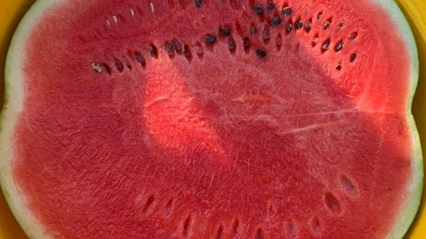 Главная картинка новости: Как выбрать идеальный арбуз: один простой способ, который должен знать каждый россиянин