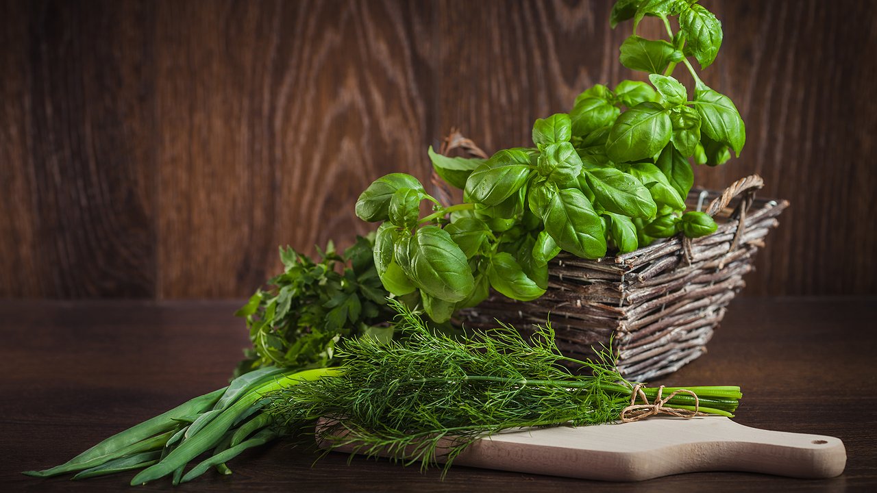 Главная картинка новости: Укроп даст пышные зонтики: одна хитрость — и ароматная зелень до самой осени