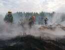 В Кировской области за выходные сгорело больше 4 га леса