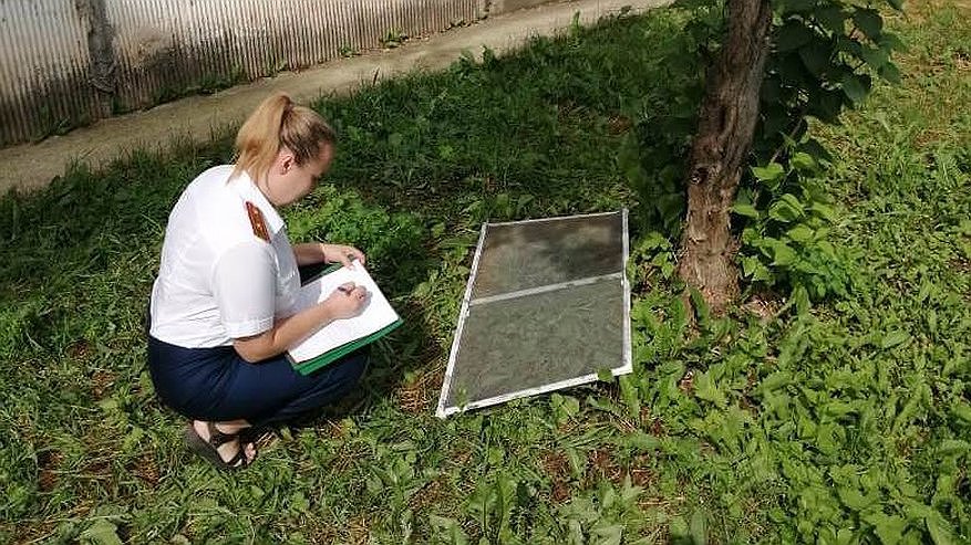 Главная картинка новости: В Кировской области с третьего этажа выпал 4-летний ребенок