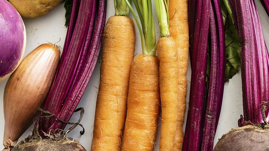 Главная картинка новости: Чем подкормить свеклу и морковку, чтобы была красивая и сладкая
