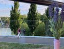Жизнь наполнится волшебством: Тамара Глоба назвала три знака, для которых начнется сказочная полоса