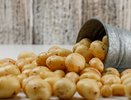 Как понять, что картошку пора копать: признаки и лайфхаки