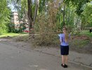 В Кирово-Чепецке на девочку упала крупная ветка: малышка погибла на месте