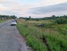 Смертельное ДТП: в Кировской области улетела в кювет легковушка с тремя детьми и двумя взрослыми