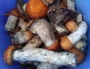 Яд в бульоне. Врач объяснила, из каких грибов не стоит варить суп