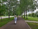 В выходные в Кирове пройдет экологический фестиваль «Зеленый Экофест»