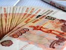 Житель Кировской области решил потратить государственную субсидию на развлечения