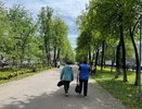 Пенсии станут больше, указ уже подписан: Голикова огласила новый размер выплат пенсионерам