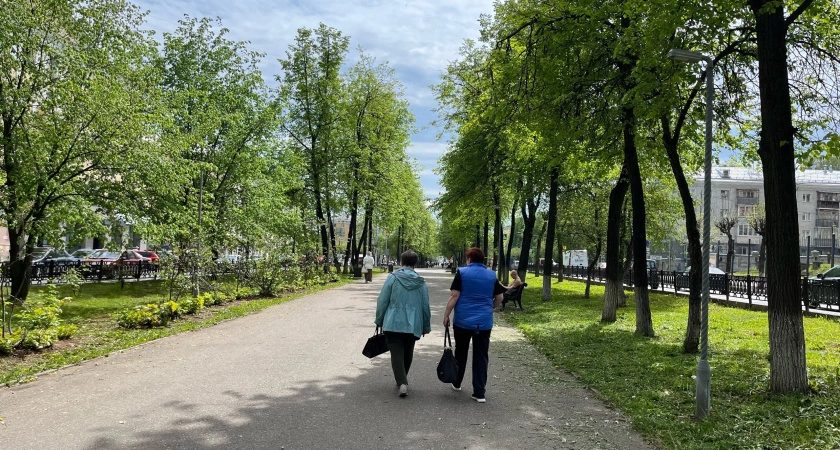 Пенсии станут больше, указ уже подписан: Голикова огласила новый размер выплат пенсионерам