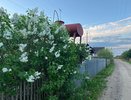 Всех, у кого есть скважина на земельном участке, предупредили о новых жестких нормах с сентября