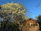 Сразу заберут участок: всем, кто владеет землей - новые требования с 1 сентября