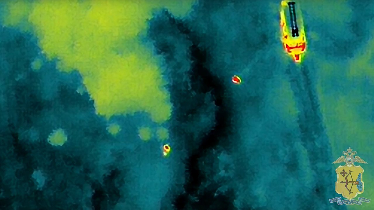 Главная картинка новости: В Кирове пропавшего грибника нашли с помощью беспилотника