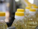 Бутылки с яркой отравой: в Роскачестве указали на растительное масло, которое испортит любое блюдо