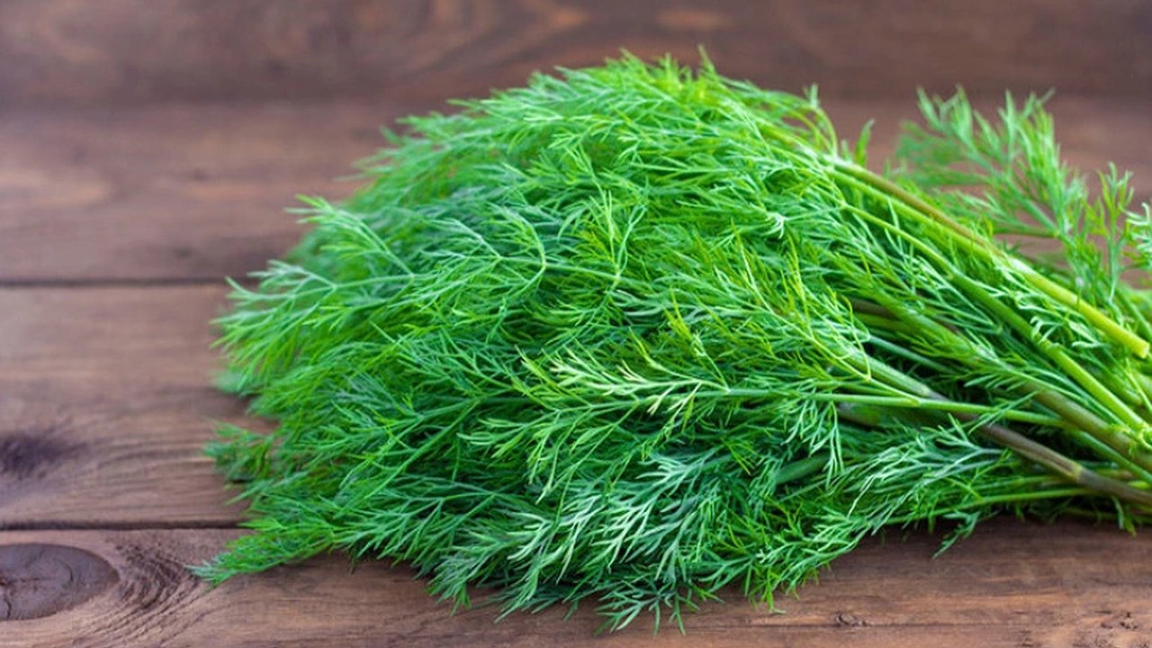 Главная картинка новости: Зелень не морожу и не сушу на зиму: делаю из укропа, петрушки и чеснока идеальную приправу