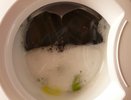Цена - копейки, а результат лучше, чем у элитных: 5 лучших стиральных порошков по оценке Роскачества