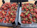 Как подготовить клубнику к зиме: самые лучшие подкормки августа 2024