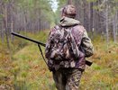 В Кировской области открыли охоту на лося "на реву"