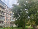 Стоимость квартир рухнет до 50%: эксперты рассказали, что случится с рынком недвижимости в 2024 году