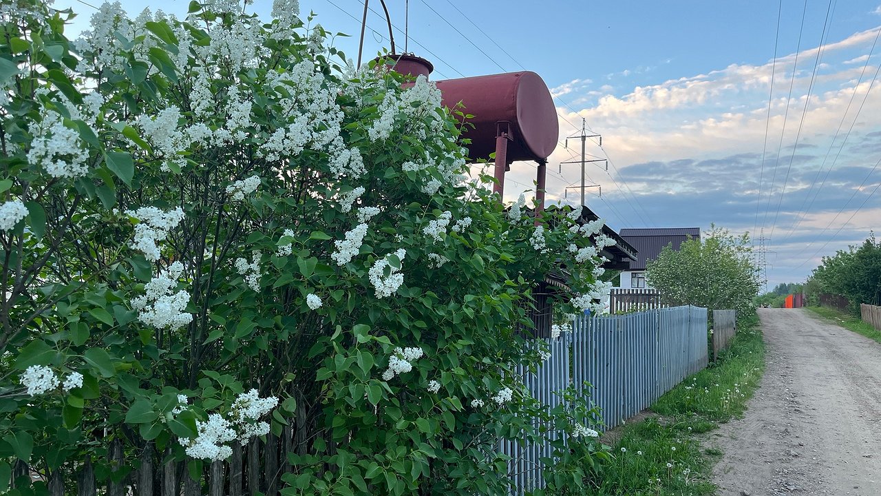 Главная картинка новости: Каждый сентябрь закапываю на огороде тряпку с керосином: вот зачем так делаю — пользы на миллион
