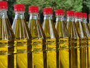 Это масло берите без сомнений: в Роскачестве озвучили лучшие марки подсолнечного масла