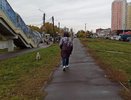 На Кировскую область надвигается арктическое вторжение