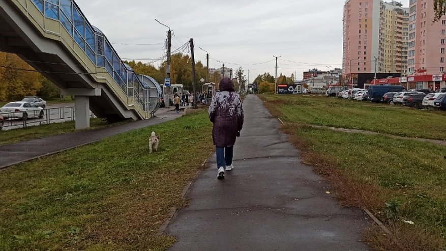 На Кировскую область надвигается арктическое вторжение