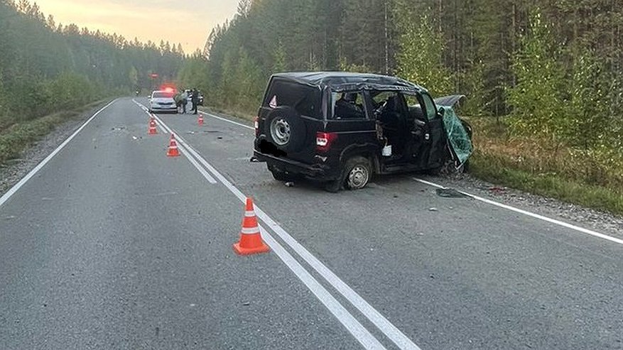 В Омутнинском районе на трассе произошло смертельное ДТП с двумя погибшими