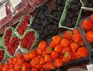 Ягоды вреднее нет: а мы едим ее покупаем как деликатес, еще и детей угощаем