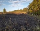 В Кировской области из-за шалости с сигнальным патроном чуть не загорелось поле