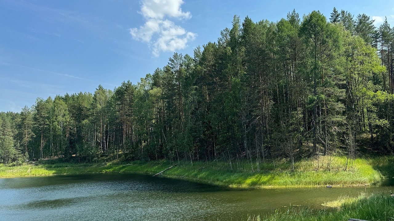 Главная картинка новости: В Пижанском районе пьяный мужчина упал в пруд и утонул