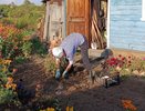 Перегниют даже ветки: быстрый компост без всяких хлопот - всего три ложки, и земля словно пух