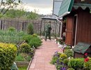 Эту ягоду хвалят как деликатес, а она одна из самых ядовитых: едим всей семьей и даже детей кормим
