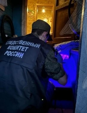 В Сунском районе отчим получил 3 года условно за истязание своих пасынков