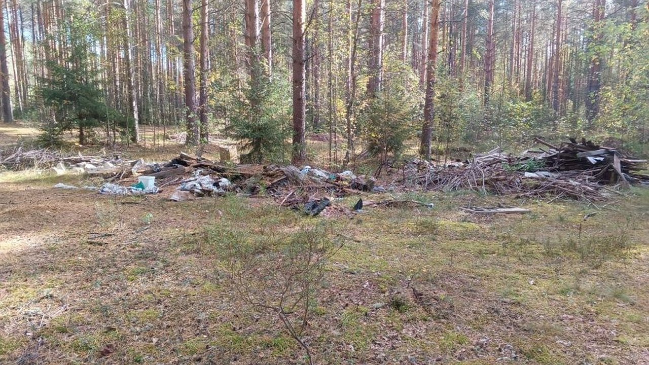 Главная картинка новости: В Первомайском районе ликвидировали 89 незаконных свалок