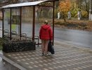 "Получат коробку с сюрпризом": Володина выяснила, к кому счастье выскочит как черт из табакерки со 2 октября