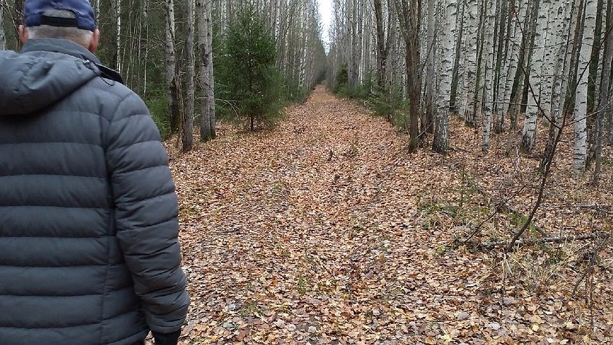 Главная картинка новости: В Кировской области объявлена высокая и чрезвычайная пожарная опасность