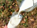 «Вода с побелкой и бактериями»: Росконтроль выделил марки молока, которые нельзя покупать даже со скидкой