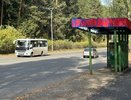 В Кировской области из-за отсутствия водителей отменяют автобусные рейсы