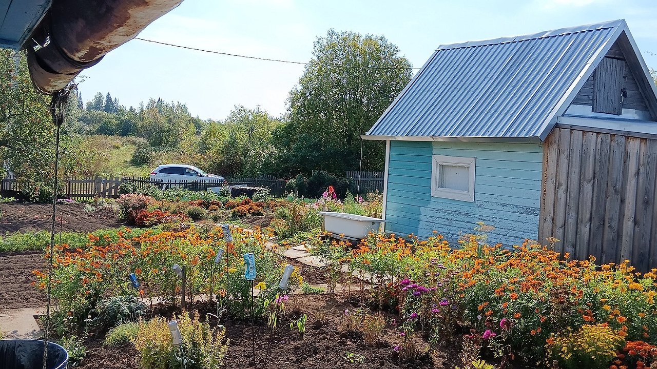 Главная картинка новости: Изымут землю: владельцев домов и дач предупредили – новые жесткие нормы вступают уже в октябре