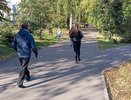 Им суждено забрать золотой билет: Василиса Володина назвала знаки, которые одержат победут в лотерее с 18 октября